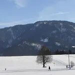 Daire Alpen-chalet-sol-alpium *