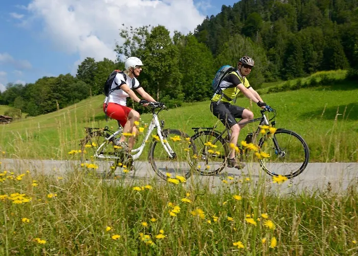 Alpen-chalet-sol-alpium